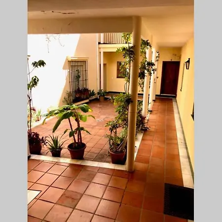 Gatu Villa Palma, Aire Acc Y Confort En El Centro Historico, 
