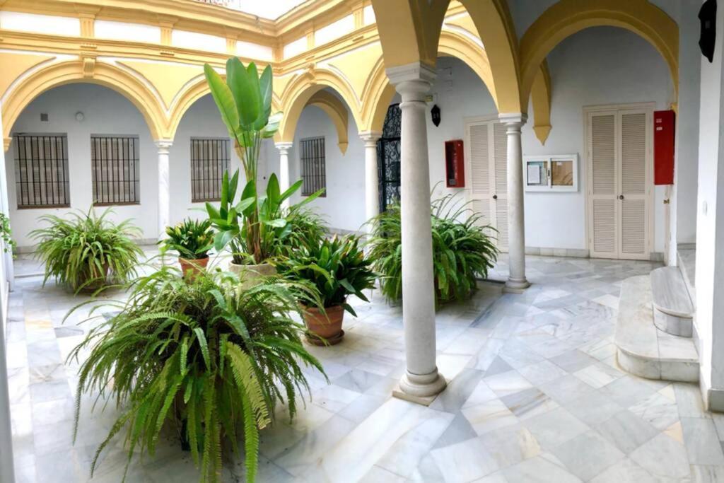 Apartment Gatu Palma, Aire Acc Y Confort En El Centro Historico, 